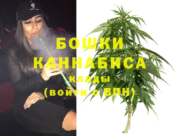 винт Майский