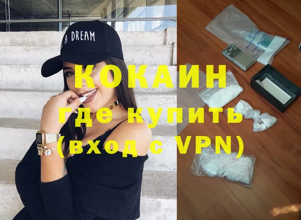 гидра Магас
