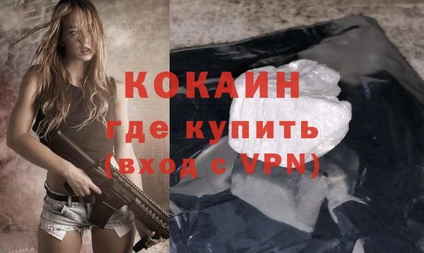 гидра Магас
