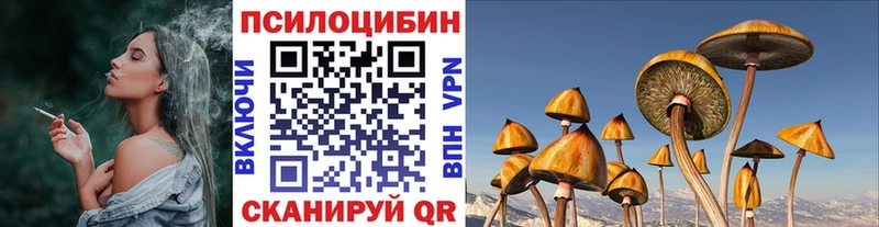 ОМГ ОМГ зеркало Наволоки Галлюциногенные грибы Cubensis
