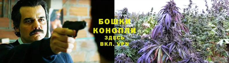 Бошки марихуана SATIVA & INDICA  Наволоки 